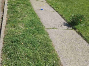 Jacqueline C.'s Lawn Care service result
