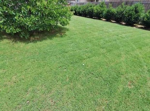 Marc F.'s Lawn Care service result