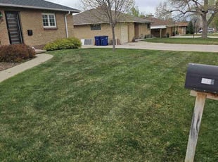 Erin C.'s Lawn Care service result