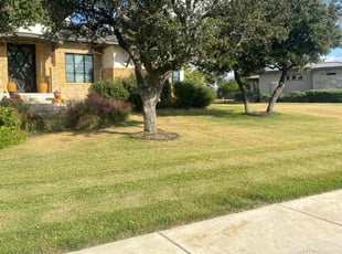 Bush Trimming by Bradley Matthiesen for Troy B. in Boerne, TX