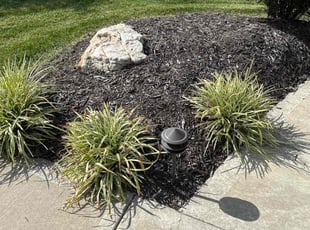 Weeding by Richard Liebetrau for Jami D. in Olathe, KS