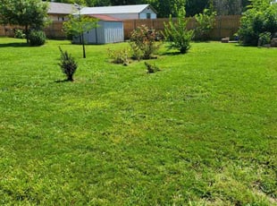 Deanna B.'s Lawn Service service result