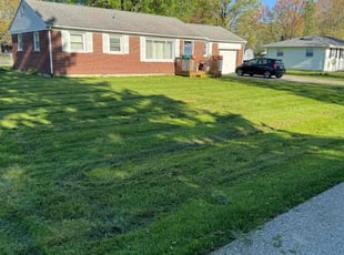 Traci R.'s Yard Cutting service result