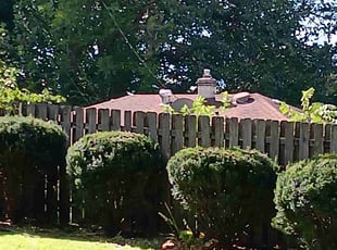 Bush Trimming by Jorge Morales for Meredith T. in Indianapolis, IN