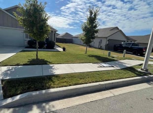 Keith H.'s Lawn Care service result