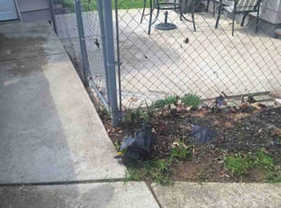 Leaf Removal by Christian Rivera for Bonita J. in Maple Heights, OH