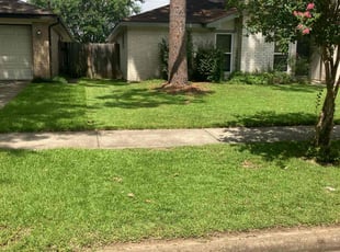 Pierre G.'s Lawn Service service result