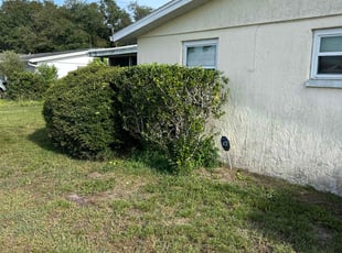 Bush Trimming by Charles Howard for Betsy B. in Holiday, FL