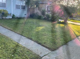 Alvin C.'s Lawn Care service result