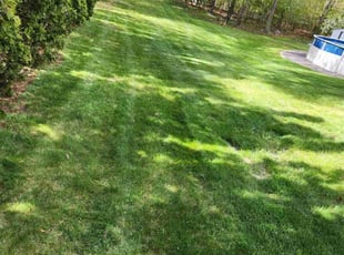 Paul D.'s Lawn Care service result