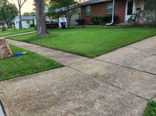 Brittney K.'s Lawn Care service result