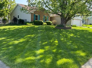 Brandon P.'s Yard Cutting service result