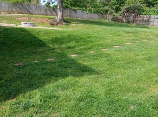 Rob R.'s Yard Cutting service result