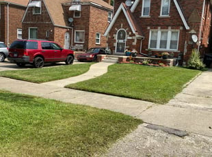 Tamarra G.'s Lawn Mowing service result