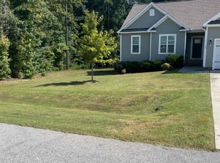 Nancy I.'s Lawn Mowing service result