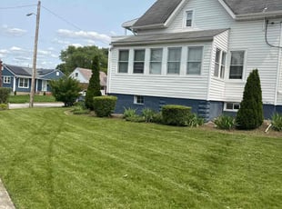 Bush Trimming by Rachel Lewis for Ali O. in Baltimore, MD