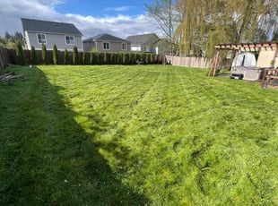 Susan S.'s Lawn Mowing Service service result