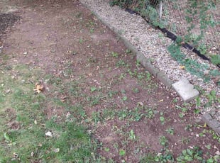 Cleanups by Matthew Spinelli for corey h. in Stratford, CT
