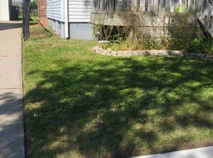 Dana M.'s Lawn Service service result