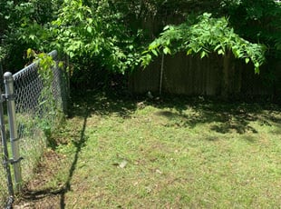 Cleanups by Oscar Cardosa for Matthew M. in Grand Rapids, MI