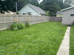 Remashaun H.'s Lawn Care service result