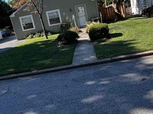 Delphine B.'s Yard Cutting service result