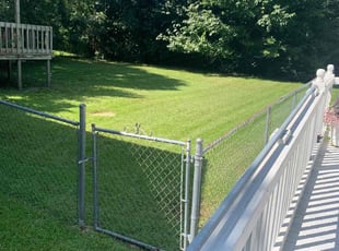Lara C.'s Lawn Mowing service result
