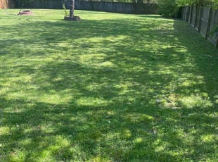 Deborah M.'s Lawn Mowing Service service result