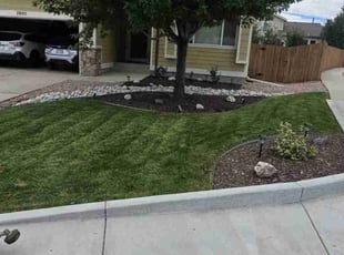 Darren R.'s Lawn Care service result