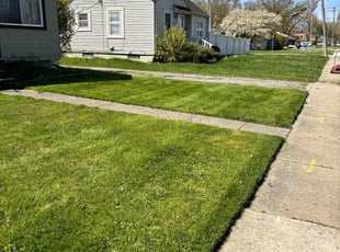 Renee I.'s Lawn Care service result
