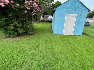 Steve J.'s Lawn Service service result