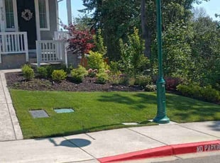 Shauna m.'s Lawn Mowing service result
