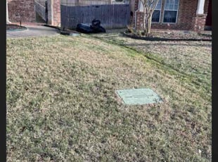 Leaf Removal by Severa Rosie Lara for Karissa S. in Arlington, TX