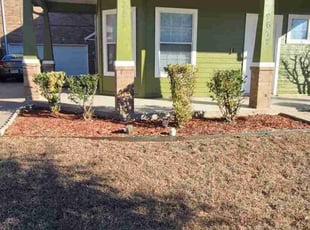 Bush Trimming by Michael Gill for David Bonga E. in Grand Prairie, TX