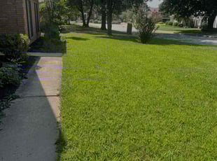 Sindi M.'s Lawn Mowing service result