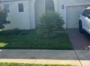 darrell h.'s Grass Cutting service result