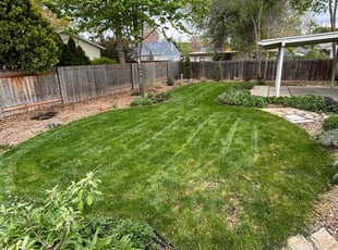 Adam K.'s Lawn Care service result