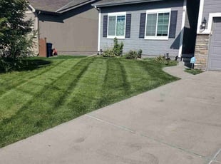 Katie N.'s Lawn Care service result