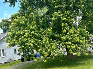 Cleanups by Shawn Fuller for Matt S. in Boothwyn, PA