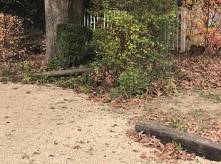 Bush Trimming by Davon Lightfoot for Hope G. in Richmond, VA