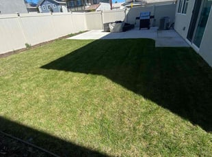 David D.'s Lawn Care service result