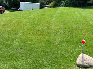PRACHUR J.'s Lawn Mowing Service service result