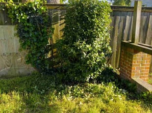 Roy R.'s Bush Trimming service result