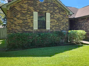 Bush Trimming by Walter Wall for Edward P. in Goose Creek, SC