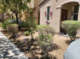 Cleanups by Lamont Johnson for Genise H. in Las Vegas, NV
