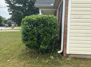Bush Trimming by Calvin Walker for Cindell D. in Locust Grove, GA