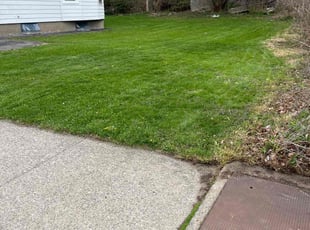 Preston T.'s Lawn Mowing service result
