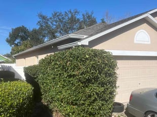 Bush Trimming by Withman Herrera for Zachary B. in Orlando, FL