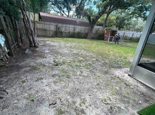 Katherine U.'s Leaf Removal service result