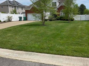 Vera M.'s Lawn Mowing service result